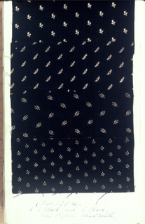 Dyer's Record Book (USA)