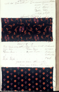 Dyer's Record Book (USA)