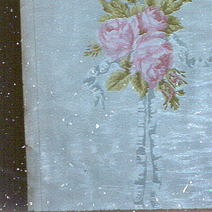 Sidewall (USA), 1890–1900