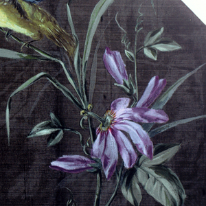 Drawing (ITALY & FRANCE)