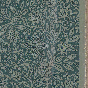 Sidewall (USA), 1870–1900