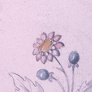 Drawing (Italy)