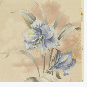 Sidewall (USA), 1930–50