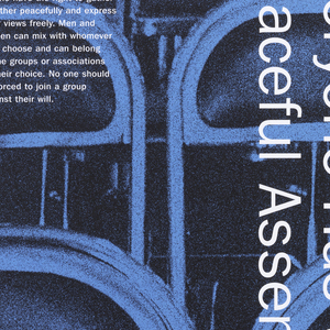 Poster, Article 20: Everyone has the Right to Peaceful Assembly, 2002