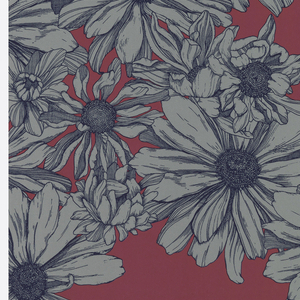 Sidewall, Cosmo, 2013
