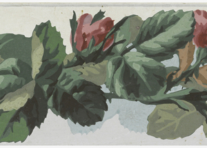 Border (France), 1900–25