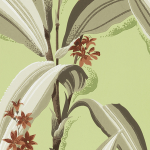 Sidewall (USA), ca. 1953