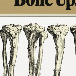 Poster, Bone Up