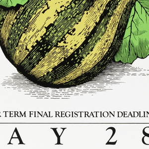 Poster, Gourd