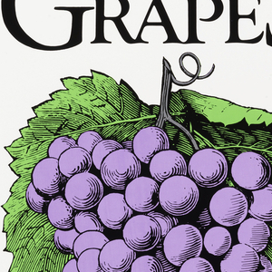 Poster, Grapes