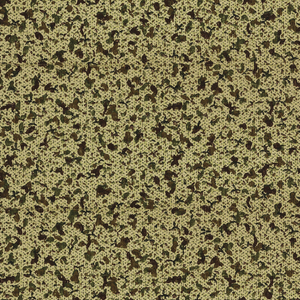 Sidewall (USA), 1900–1920