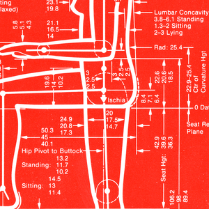 Wall Graphic, Humanscale: Measurements of 2.5, 50, and 97.5 Percentile U.S. Females, 1974–1981