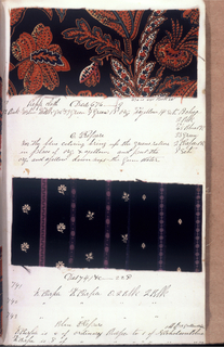 Dyer's Record Book (USA)
