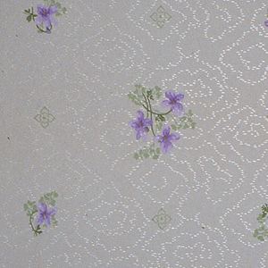 Ceiling Paper (USA), 1875–1925