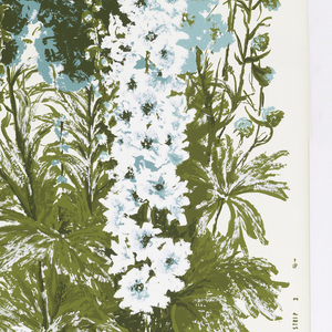 Sidewall, Delphinium, 1960–70