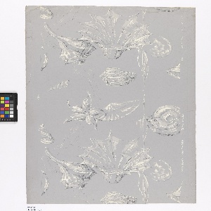 Sidewall, Crystal Shells, 1940