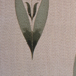 Sidewall (USA), 1875–1925