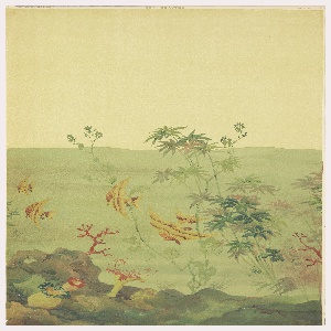 Scenic, Sea Beauties, 1920–40