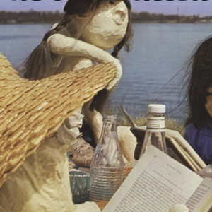Poster, Books Are Amusing Companions