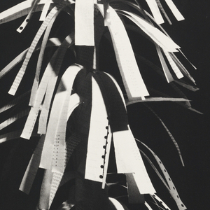 Poster, IBM / A tree grows in Boulder