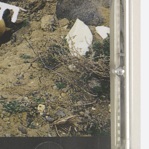 Cd, Pigeonhead, 1993