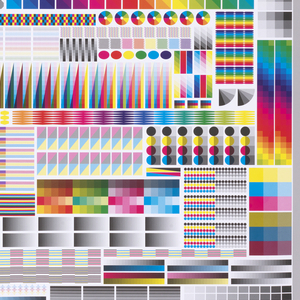 Poster, Specimen, 2008