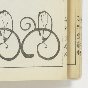 Book Illustration, Kaigara Danmen Zuan (Cross sections of seashells), 1913