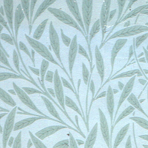 Sidewall, Willow, 1874
