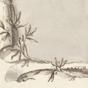 Drawing (Italy)
