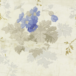 Sidewall (France), 1860–80