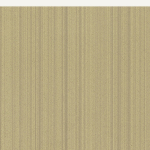 Sidewall (possibly France), 1895–1905