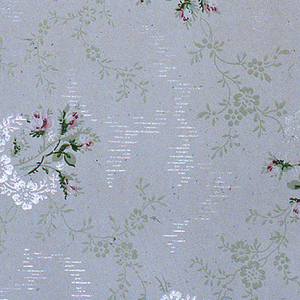Ceiling Paper (USA), 1875–1925