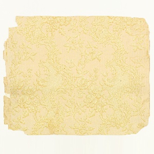 Sidewall (USA), 1890–1900