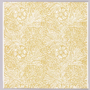 Sidewall, Marigold, 1972