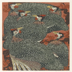 Print (USA)
