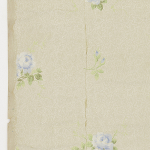 Ceiling Paper (USA), 1875–1925