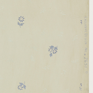 Ceiling Paper (USA), 1875–1925