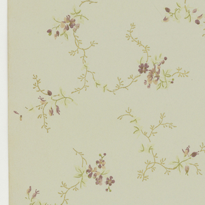 Ceiling Paper (USA), 1875–1925