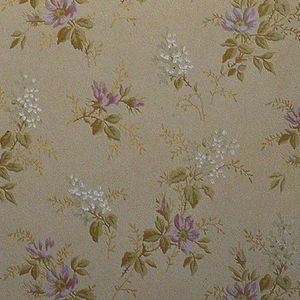 Ceiling Paper (USA), 1875–1925