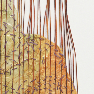 Textile, Papillon, 1997–2004