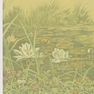 Scenic - Panel, Water Lily, 1930–40