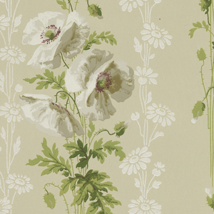 Sidewall (USA), 1875–1925