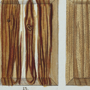 Book Illustration, Icones lignorum exoticorum et nostratium Germanicorum: ex arboribus, arbusculis et fruticibus varii generis collectorum, Representations of inlay and non-native woods, plate VI, 1773–78
