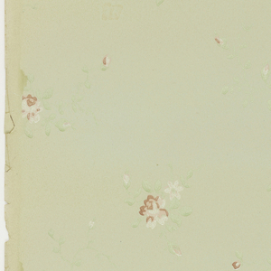 Sidewall (USA), 1875–1925