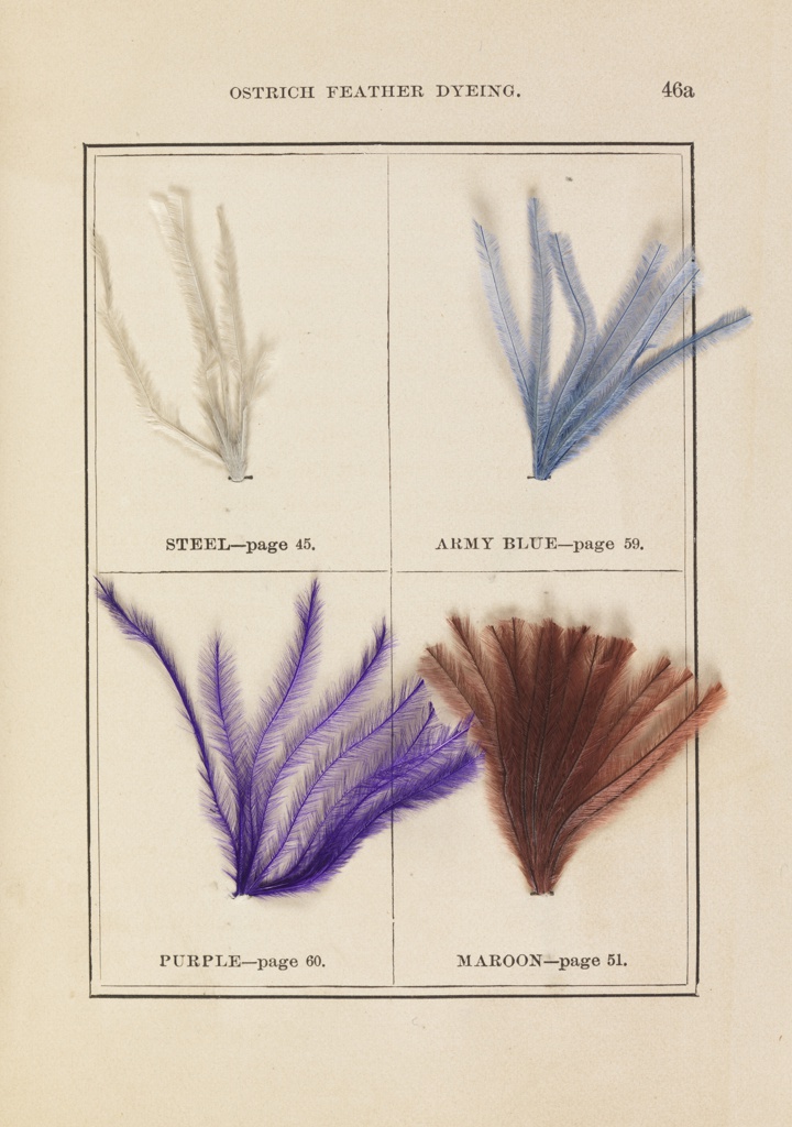 Book Illustration, The Practical Ostrich Feather Dyer, Revised and Corrected by Dr. M. Frank, 64a