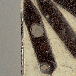 Tile,study Collection