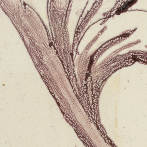 Wall Facing (Holland), ca. 1725