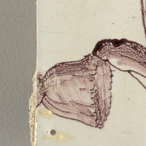 Wall Facing (Netherlands), ca. 1725